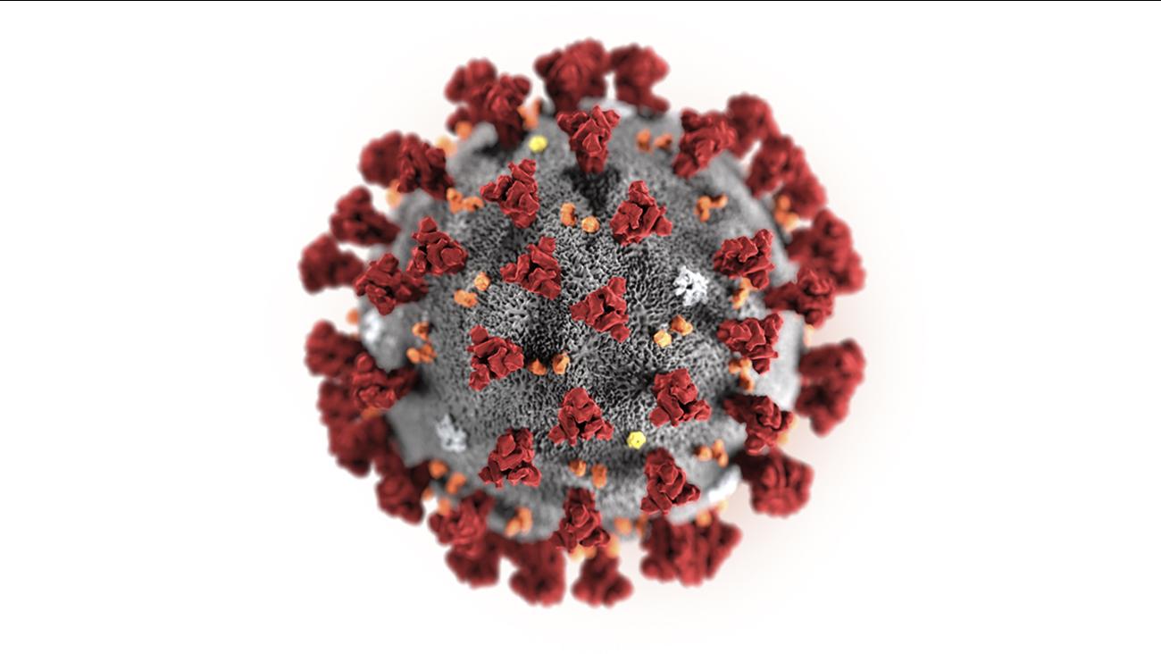 Hình ảnh về virus Corona (2019-nCoV)