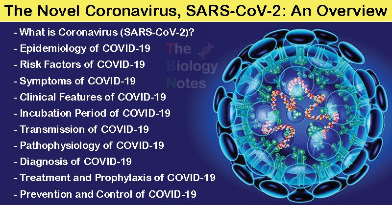 Những gì chúng ta biết cho đến nay về Covid-19 (2019-nCoV)